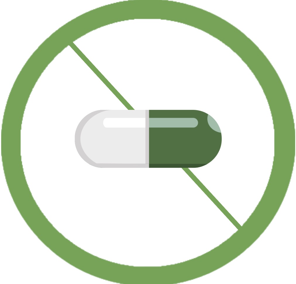 Gluten Free Icon Gluten Free Icon